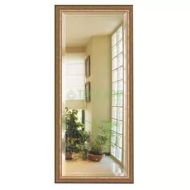 Зеркало с фацетом в багетной раме Evoform состаренная бронза 66 мм 72х162 см