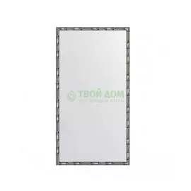 Зеркало в багетной раме Evoform серебряный бамбук 24 мм 57х107 см