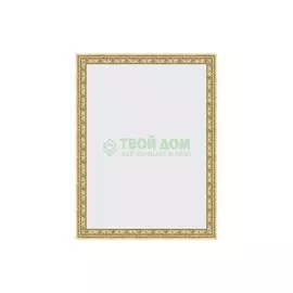 Зеркало в багетной раме Evoform сусальное золото 47 мм 62х82 см