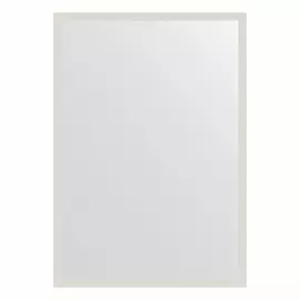 Зеркало в багетной раме Evoform белый 20 мм 46х66 см