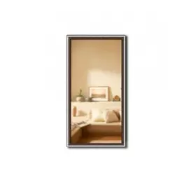 Зеркало в багетной раме Gallery 31х61 см серебро