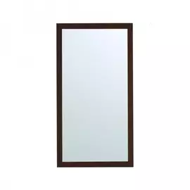 Зеркало в раме Gallery 30х60 см орех