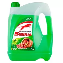 Жидкость незамерзающая Sibiria -20 яблоко, 4л
