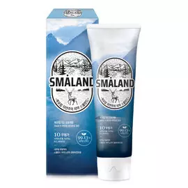 Зубная паста KeraSys Smaland Nordic Classic Mint Классическая мята 100 г