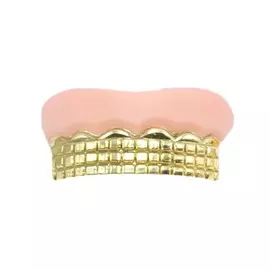 Зубы Long Cheng Yiwu City серебряные 02