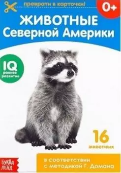 Обучающая книжка по методике Г. Домана "Животные Северной Америки"