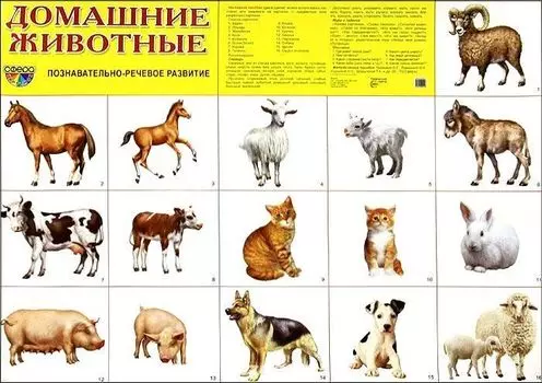 Плакат "Домашние животные"