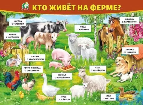 Плакат "Кто живет на ферме"