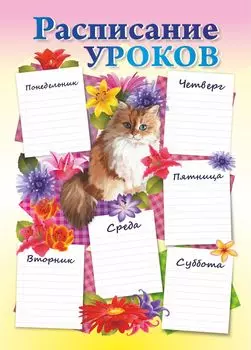 Плакат "Расписание уроков" (котик): Формат А4