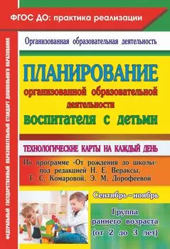 Планирование организованной образовательной деятельности воспитателя с детьми