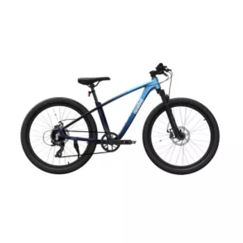 Подростковый велосипед Ninebot Kids Sport Bike 24 дюйма Blue (KB24)