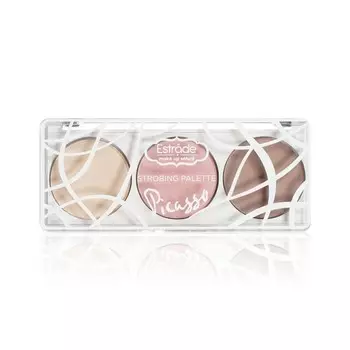 Палетка для стробинга Estrade Picasso 502 Холодная