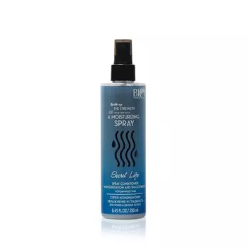 Спрей - кондиционер для поврежденных волос Bio World Secret Life " увлажнение и Гладкость " 250мл
