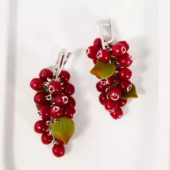 Серьги Home Etudes