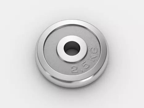 Диск хромированный UNIX Fit 2.5 кг / 25 мм