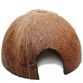 Домик Homepet Кокос для мелких грызунов (10 см)