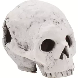 Грот Zooexpress Иж Череп Г3 для аквариума (10 x 12 x 9,5 см)