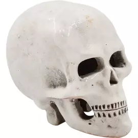 Грот Zooexpress Иж Череп Г4 для аквариума (4,5 x 8 x 6 см)