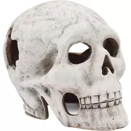 Грот Zooexpress Иж Череп ГП1 для аквариума (13 x 20 x 16 см)