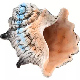 Грот Zooexpress Иж Раковина ШН2 для аквариума (12 x 17 x 13,5 см)