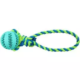 Игрушка Homepet Dental мяч на канате для собак (Ø 5 см х 30 см)