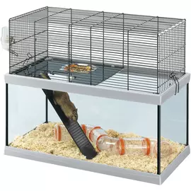 Клетка-террариум Ferplast Gabry 60 для песчанок
