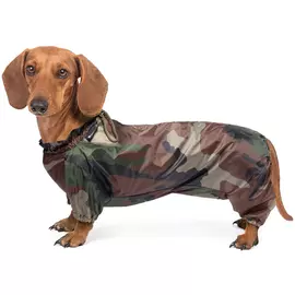 Комбинезон Gamma демисезонный для такс (41 х 27 х 16 см, Случайный цвет)