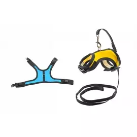 Комплект Дарэлл Шлейка и Поводок Конфетти-ТОП, для крыс и морских свинок (обхват груди 18-23см, В ассортименте)