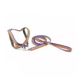 Комплект Геогазтехнология поводок+шлейка Радуга