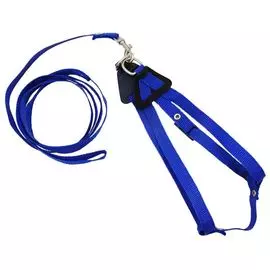 Комплект Zooexpress поводок+шлейка капроновый с фастексом синий до 45 см для кошек (45 см, Синий)