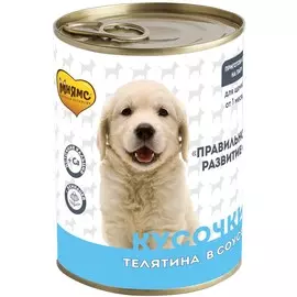 Консервы Мнямс Правильное развитие кусочки в соусе с телятиной для щенков (400 г)