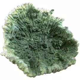 Коралл декоративный Ferplast BLU 9135 маленький