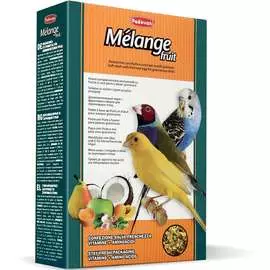 Корм Padovan Melange Fruit с фруктами и яйцом для декоративных птиц 300 г