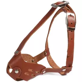 Намордник Gamma Той-терьер 2,5 кг кожаный для собак (14 х 12 х 10 см)