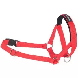 Недоуздок Amiplay Basic красный для собак породы йоркширский терьер (XS: 10-18 (a) x 19-25 (b) x 1,5 см)