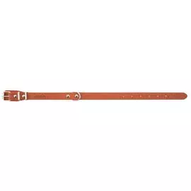 Ошейник Аркон f1 тиснение коньячный для собак (40 - 54 см х 2,5 см)