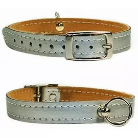 Ошейник Дарэлл Люкс кожаный двухслойный (10 мм х 28 см, Серебряный)