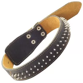 Ошейник Gamma Ёж кожаный двойной с украшением для собак (36 х 670 мм, В заказе будет случайный цвет)