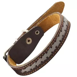 Ошейник Gamma Коса кожаный двойной со светоотражающими элементами для собак (20 х 430 мм, В заказе будет случайный цвет)