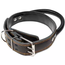 Ошейник Gamma кожаный двойной с круглой ручкой для животных (3,5 х 63 см, В ассортименте)