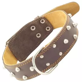 Ошейник Gamma кожаный двойной с украшением и кольцом для собак (45 х 800 мм, В заказе будет случайный цвет)