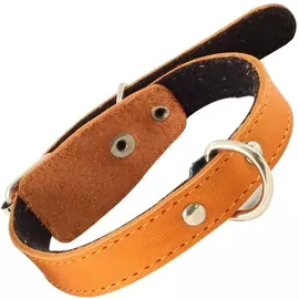 Ошейник Gamma кожаный на синтепоне с кольцом для собак (20 х 450 мм, В заказе будет случайный цвет)