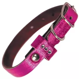 Ошейник Gamma мини кожаный двойной, шлевка со стразами для собак (10 х 200 мм, В заказе будет случайный цвет)