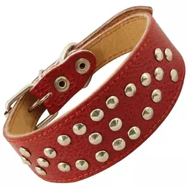 Ошейник Gamma Такса миди кожаный двойной с украшением для собак (45 х 400 мм, В заказе будет случайный цвет)