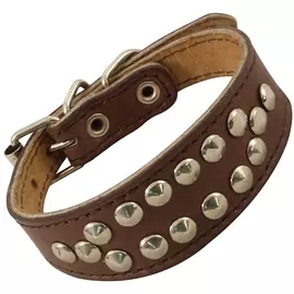 Ошейник Gamma Такса мини кожаный двойной с украшением для собак (35 х 340 мм, В заказе будет случайный цвет)