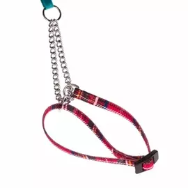 Ошейник-удавка Ferplast NYCCS на цепочке для собак (33-40 см, Красный)