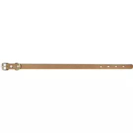 Ошейник Zooexpress однослойный строченый бежевый для собак (18 мм х 42 см, Бежевый)