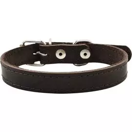 Ошейник Zooexpress однослойный строченый коричневый для собак (18 мм х 42 см, Коричневый)