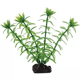 Пластиковое растение Ferplast BLU 9055 Egeria