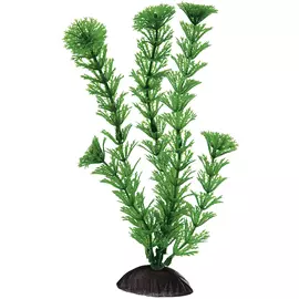 Пластиковое растение Ferplast BLU 9060 Cabomba